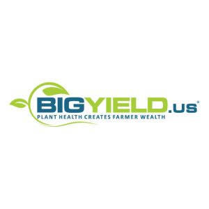 BigYield-Logo